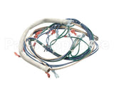 148538 Groen Wiring Harness Control, 24Volt, Bpm-40E