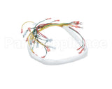 149944 Groen Harness Wiring, Control
