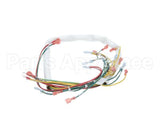 149944 Groen Harness Wiring, Control