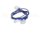 150190 Norlake Lt Lamp Wire Harness/Socket Nl
