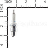 1507 NGK Br6Hs Blyb Spark Plug