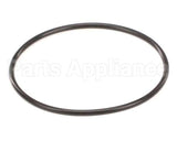 151121 Everpure Costguard O-Ring
