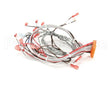 153338 Groen Harness, Ssb-G Forward