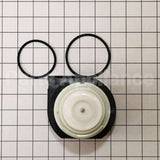 154844301 Frigidaire Motor & Pump Assy