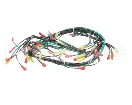155506 Groen St-4G & St-6G W/ Float 24Vac Harness