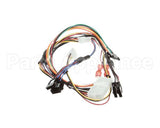 156178 Duke Harness,Renau 4X3 Main