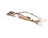 156752 Duke Harness,Main Fwm Sgl Relay