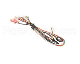 156752 Duke Harness,Main Fwm Sgl Relay