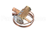 161921008 Cornelius Valve Expansion 1 Ton Hp62