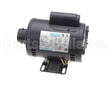 164184-001 Henny Penny Pump Motor
