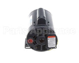 164184-001 Henny Penny Pump Motor