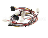 165931 Duke Harness,Lo-Voltage Muhc