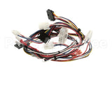 165931 Duke Harness,Lo-Voltage Muhc