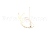16645 Blodgett Probe, Thermistor