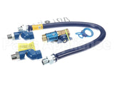 1675KITCF2S36 Dormont 3/4 Dia., 36 Blue Hose, Safety Quik, 2 S