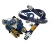 1675KITCF2S48 Dormont 3/4 Dia., 48 Blue Hose, Safety Quik, 2 S