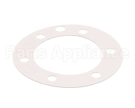 XP1011 Globe Fiber Gasket (Xvga/Xvsa)