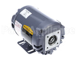 17043 Ultrafryer Motor, Pump 230/50/1 Ce