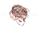 170908 Groen Harness, Intek Electric, Manual Fill