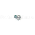 1754203YP Briggs & Stratton Screw