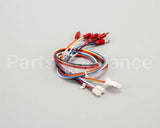 175479 Duke Harness,Test Cord Flame Sense