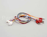 175479 Duke Harness,Test Cord Flame Sense