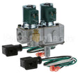 1754901 Compatible Garland Dual Gas Solenoid Valve 1/2" 25V