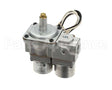 1754904 Garland Valve-Rt Basotrol Dual(G96)Lp