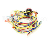 175607 Duke Harness,Wire Low Voltage