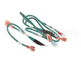 175610 Duke Harness,Wire Ground