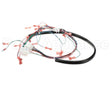 175759 Duke Harness,Wiring Low Volt.ce Fbb
