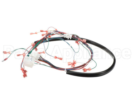 175759 Duke Harness,Wiring Low Volt.ce Fbb