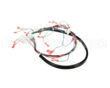 175759 Duke Harness,Wiring Low Volt.ce Fbb