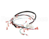 175759 Duke Harness,Wiring Low Volt.ce Fbb