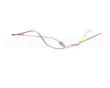 17702 Broaster Probe-Formed, Ug, Gas St