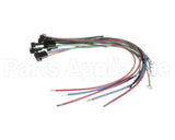 177599 Duke Harness,Fuses & Element Plugs