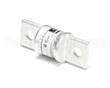 180042 Champion - Moyer Diebel Fuse T 100A 300V Fast Act