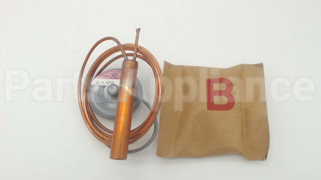 181213 Sporlan Controls 60" Cap Element Kit