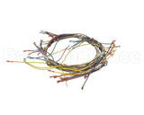 18355 Blodgett Harness, Wiring Inf/8 Stpt
