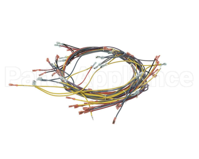 18355 Blodgett Harness, Wiring Inf/8 Stpt