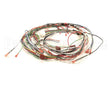 1859817 Garland Control Harness