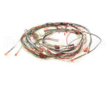 1859817 Garland Control Harness