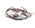 1859850 Garland 120V Harness