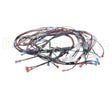 1859854 Garland Ignition Harness