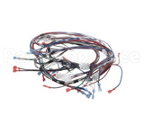 1859854 Garland Ignition Harness