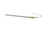 18781 Gaylord 12 No Coupling Thermostat, 250