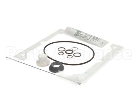 188503 Saniserv Kit:tuneup 704