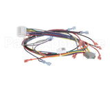 18929 Blodgett Harness, Wiring Inf/8 Stpt