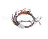 18929 Blodgett Harness, Wiring Inf/8 Stpt