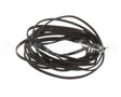18NBNTC5FT Wasserstrom Sensor